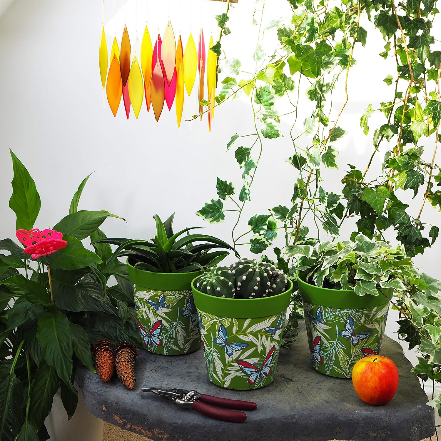 Hum Flowerpots, 15cm Set of 3, Various Patterns Colours and Sizes, Indoor/Outdoor Plastic Plant Pots, Green Butterfly Palm - Image 4