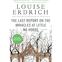 The Last Report on the Miracles at Little No Horse: A Novel book cover