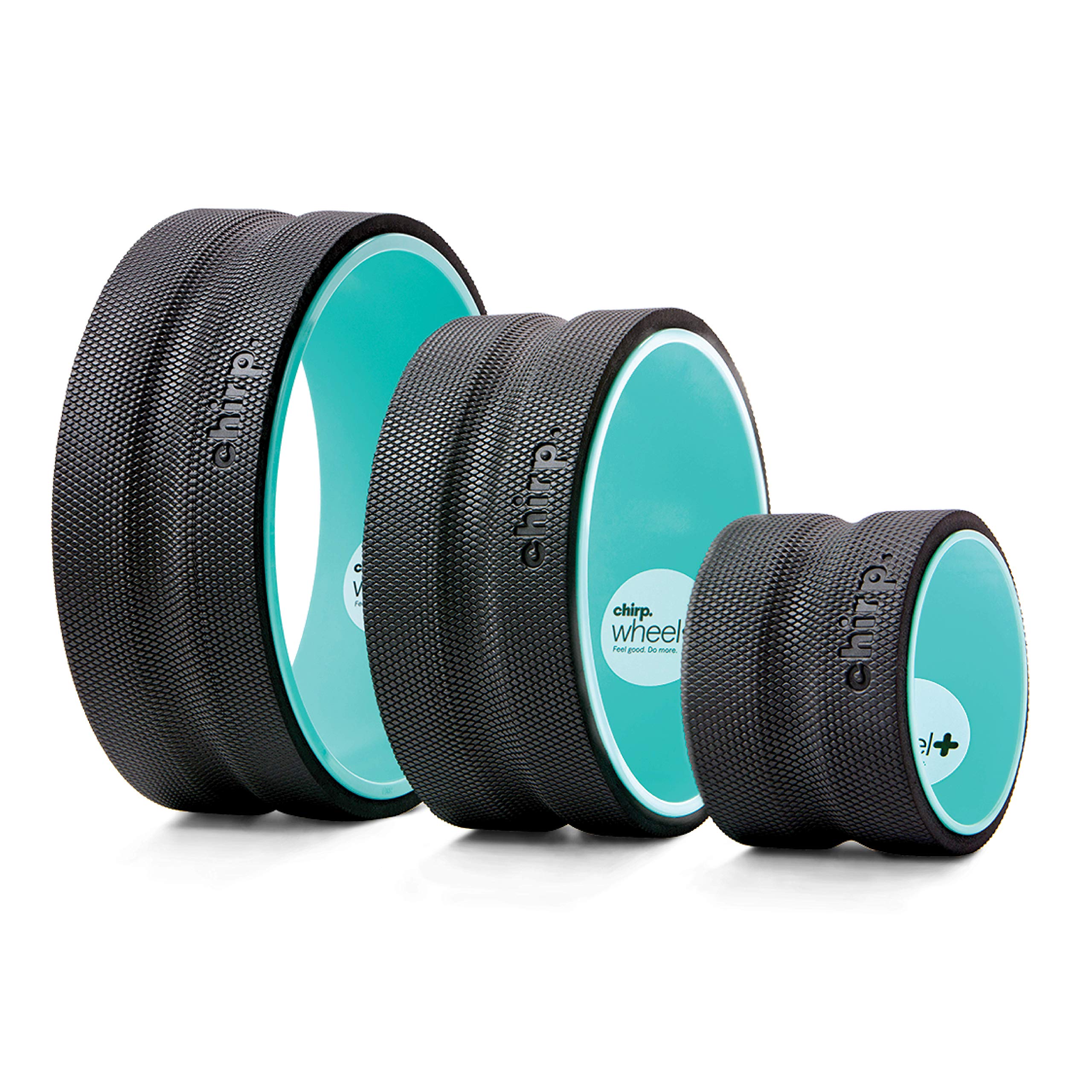 Plexus Chirp Wheel for Back Pain, Stretches and Strengthens Core Muscles, Relieves Strain to Muscles and Ligaments, Helps Prevent Herniated/Bulging Discs, Arthritis, and Osteoporosis