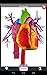 Anatomy Quiz Lite