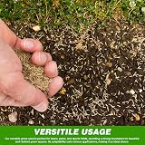 GroundMaster GroundMaster Premium Grass Seed 1kg - Fast Germinating Lawn Mix view 3