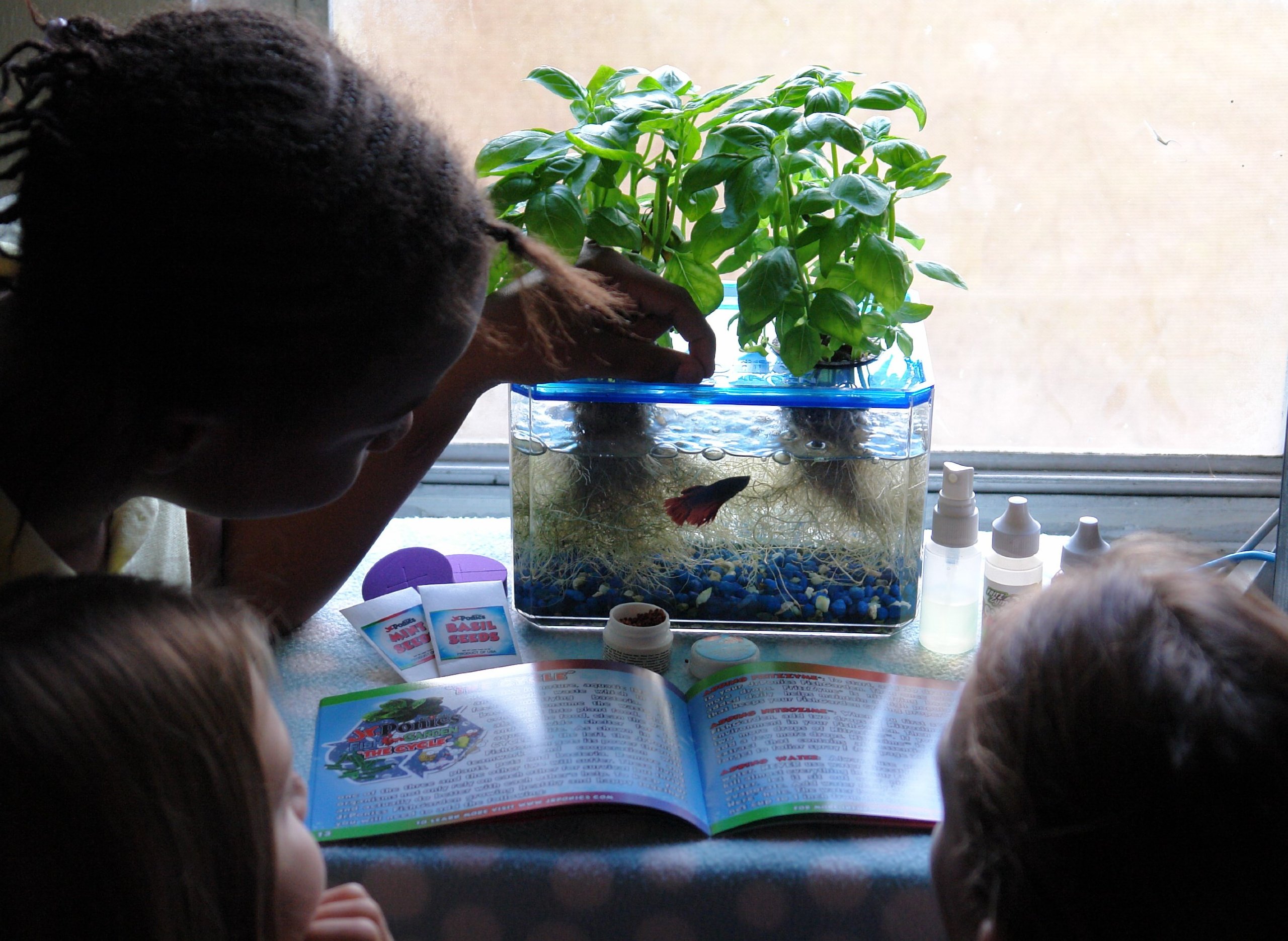 why aquaponics kits - aquaponic