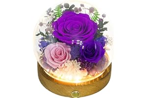 Valley of Rain & Forest Long-Lasting Real Flowers, Unique Floral Gift for You to Send Love for All Occasions, for Indoor Deco