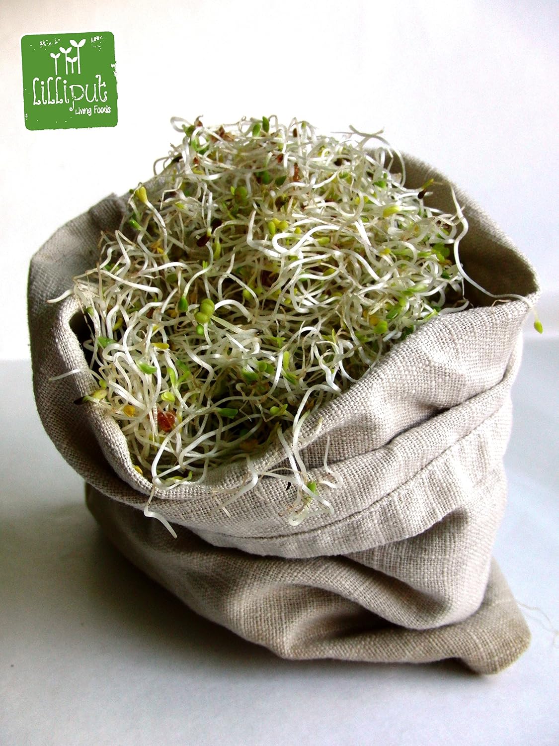 LILLIPUT LIVING FOODS Kit Germinación EN Bolsa DE Cáñamo Natural ...