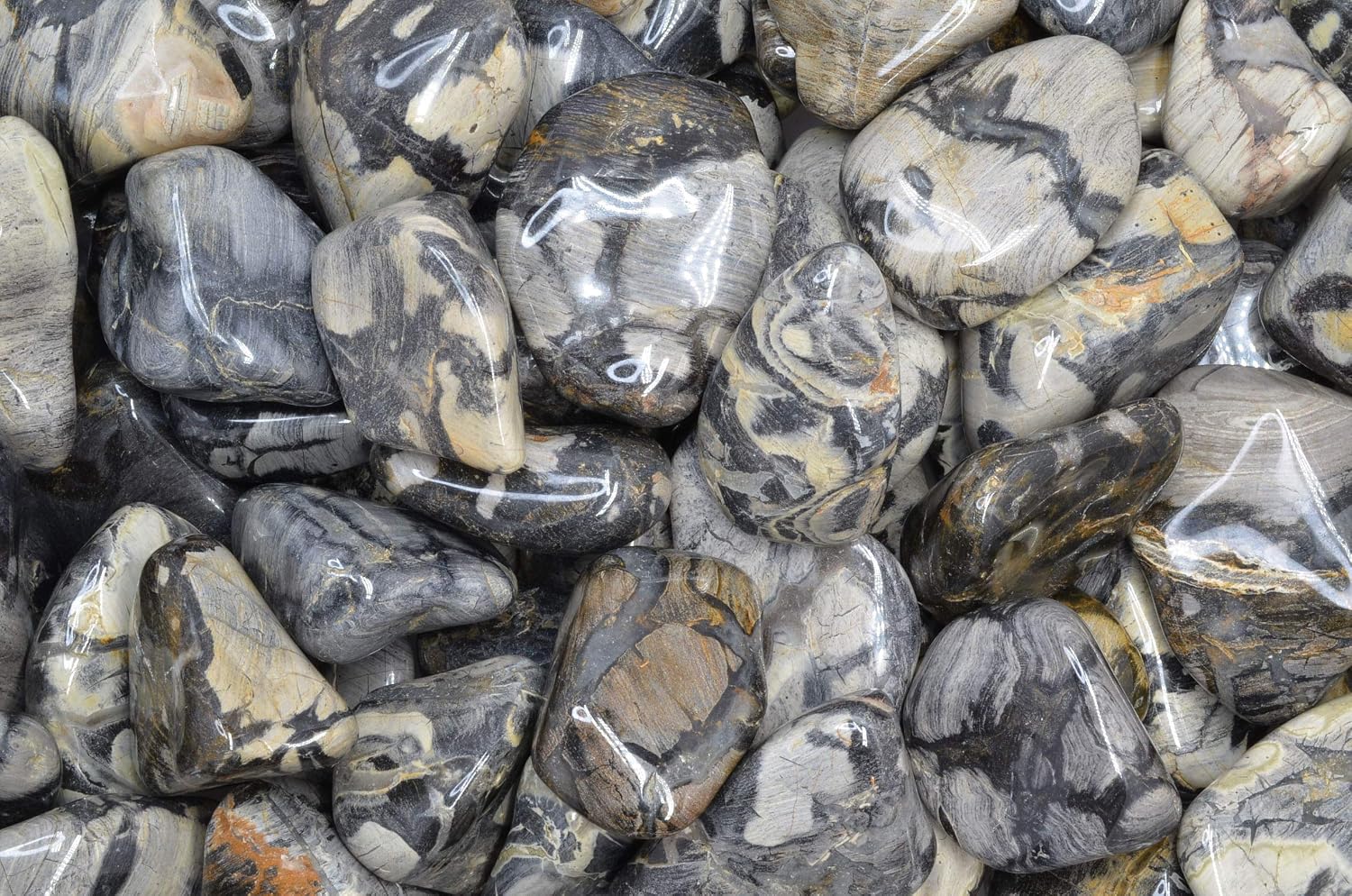 Amazon Com Fantasia Materials 2 Lbs Tumbled Silver Leaf Jasper Stones From Africa 1 5 To 2 25 Avg Size 9 Home Kitchen