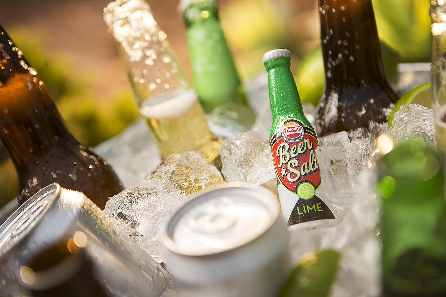 Twang Flavored Beer Salt, Lime, 1.4 Ounce Mini Bottles (24 Count Display Pack) : Lemon Beer Salt : Grocery & Gourmet Food