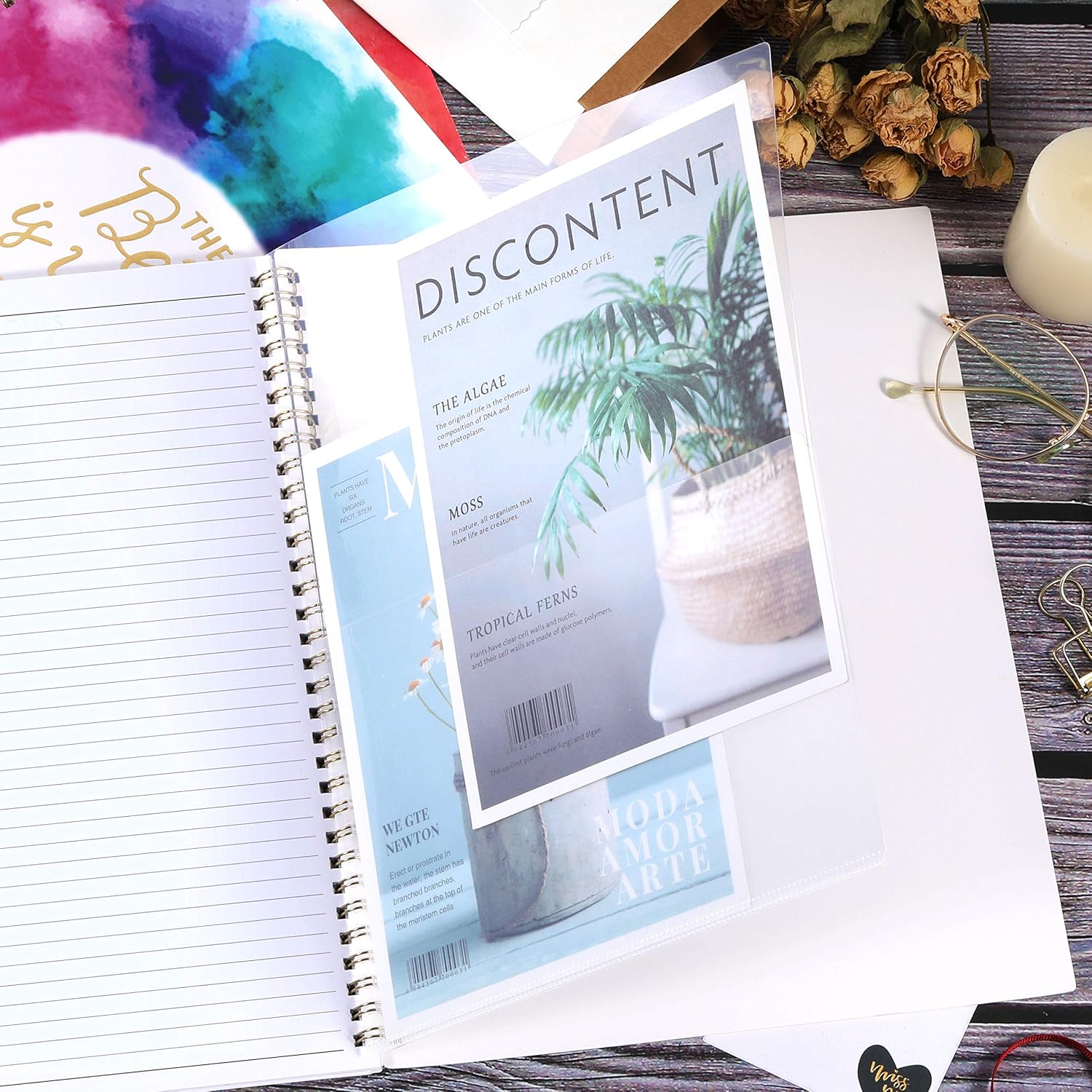 2021-2022 Monthly Planner - 18-Month Planner with Tabs & Pocket, Contacts and Passwords, 8.5" x 11", Thick Paper, Jul. 2021 - Dec. 2022, Twin-Wire Binding - Black Floral : Office Products