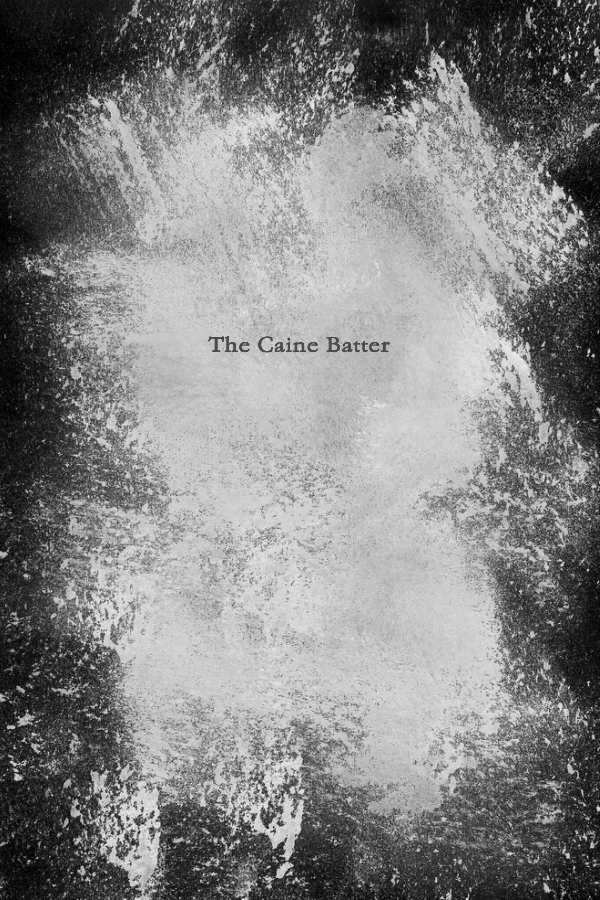 The Caine Batter Pugliano Devin 9780557497461 Amazon Com Books