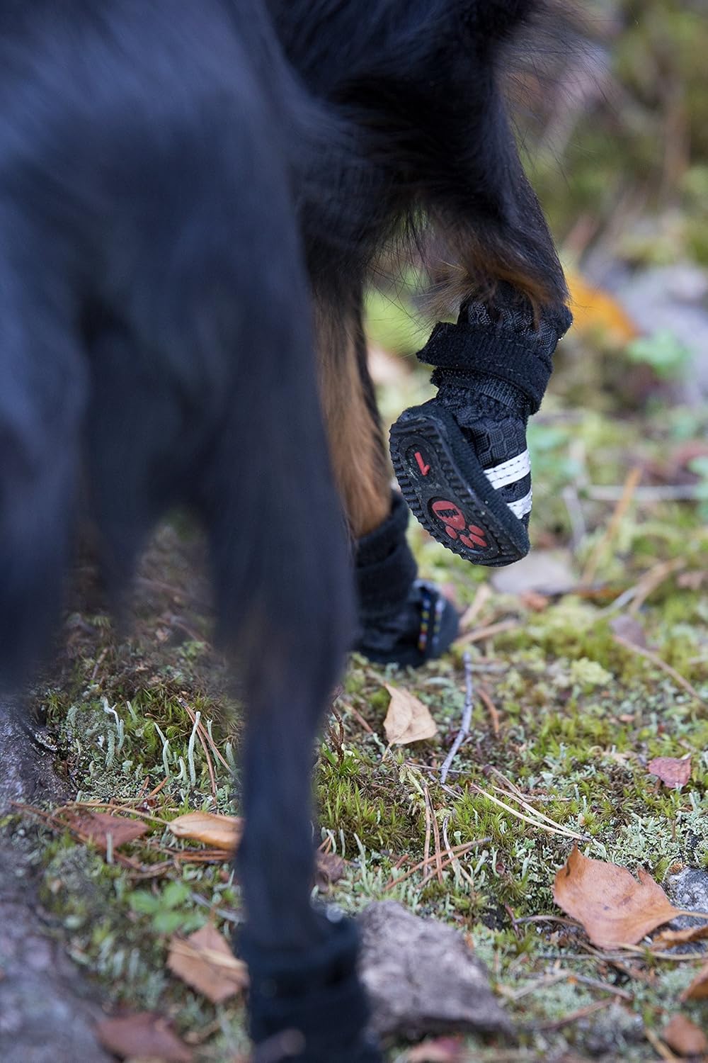 rukka dog boots