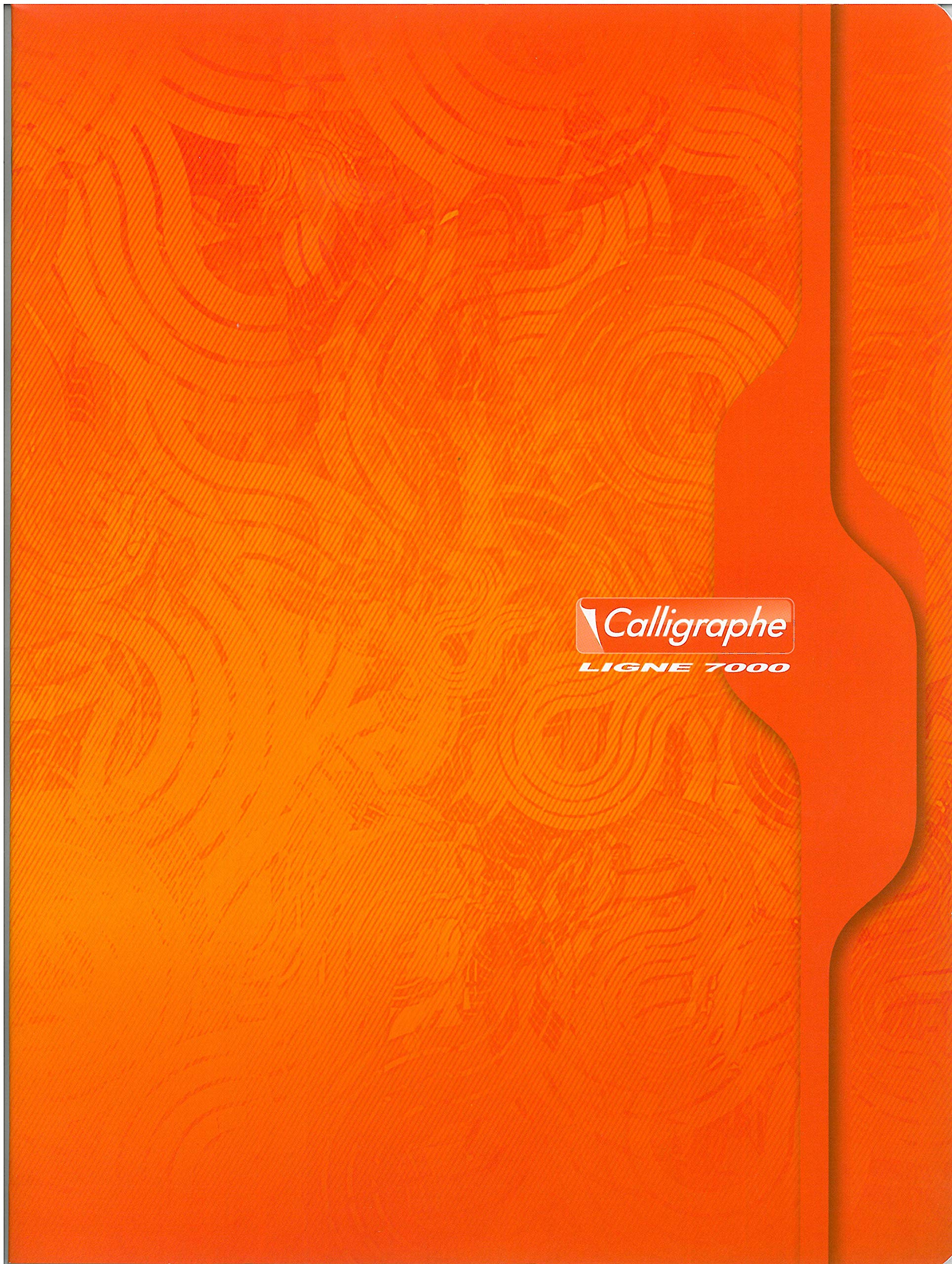 Calligraphe 7499C Set of 5 Stapled Notebooks (Clairefontaine) - 24x32 cm - 192 Small Squares Pages - 70 g White Paper - Varnished Card Cover - Random Colours