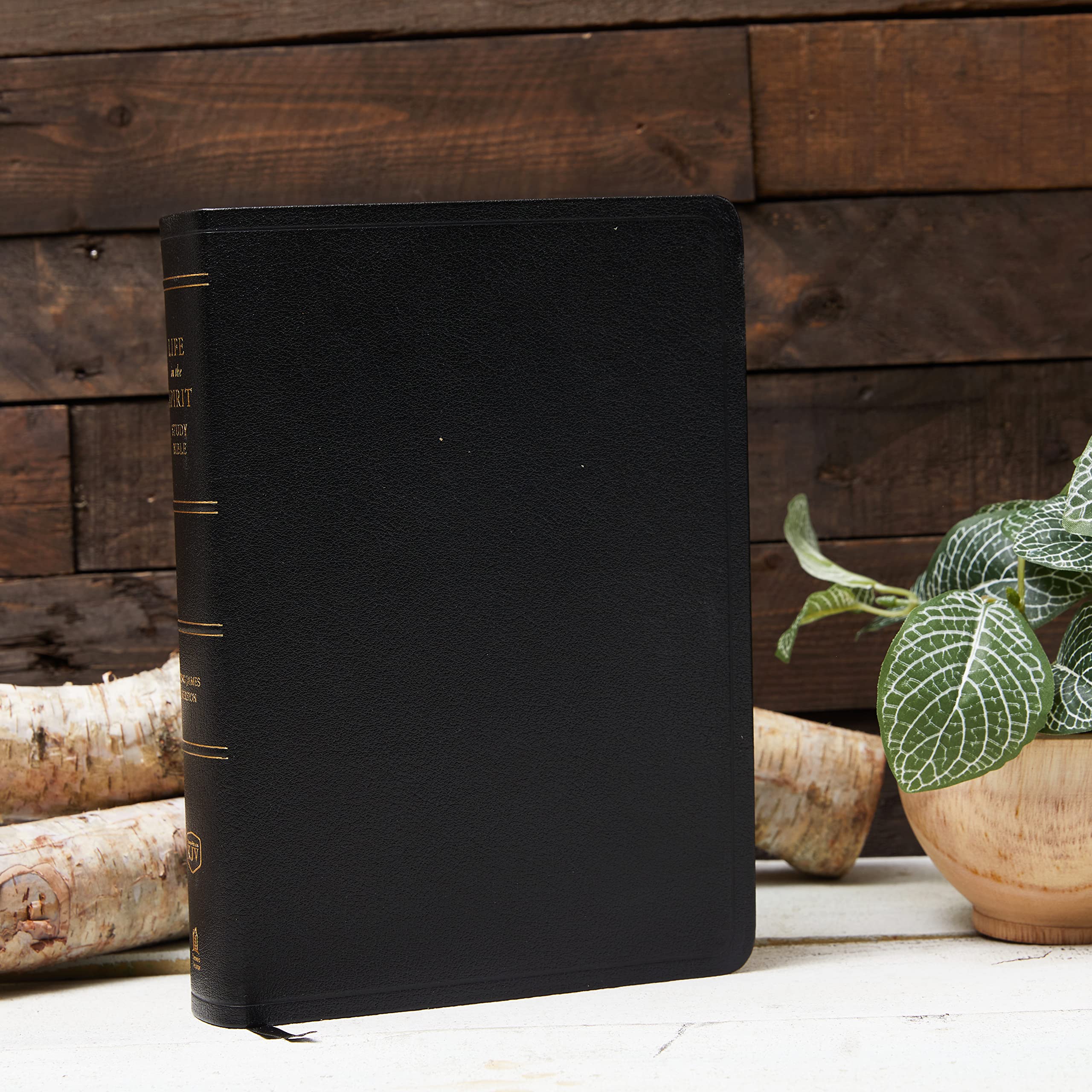 KJV Life in the Spirit Study Bible, Indexed