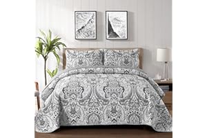 DRUCON Grey Paisley Quilt Set Queen 3 Pieces Boho Paisley Floral Quilt Coverlet Set Soft Microfiber Lightweight Bedding Quilt for All Season (Queen, 90"x96")