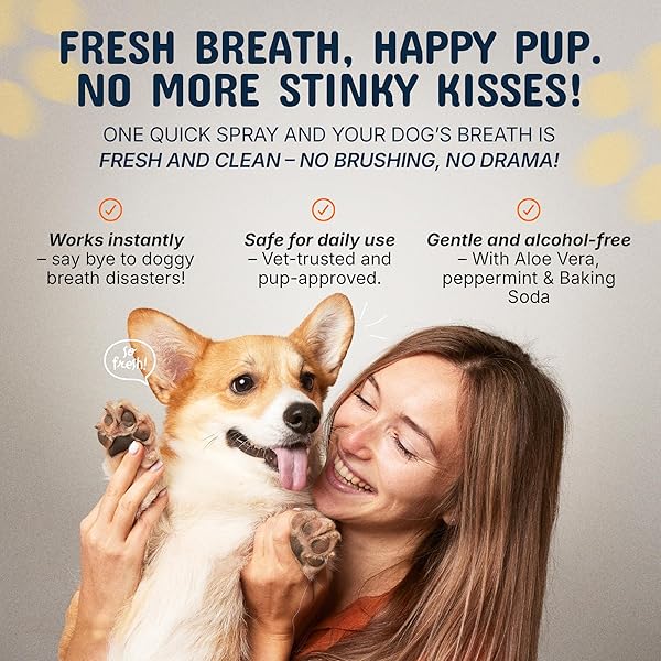 PETS ARE KIDS DOG DENTAL SPRAY – 8OZ PREMIUM DOG BREATH SPRAY & DENTAL CARE – NATURAL BREATH FRESHENER, FIGHTS TARTAR, PLAQUE & GUM DISEASE, MOUTHWASH FOR DOGS & CATS – MINT FORMULA WATER ADDITIVE