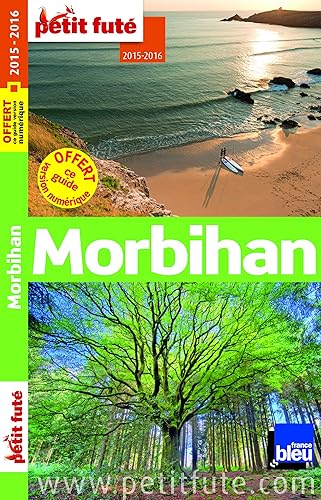 Download Petit Futé Morbihan PDF