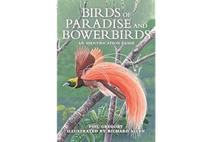Birds of Paradise and Bowerbirds: An Identification Guide