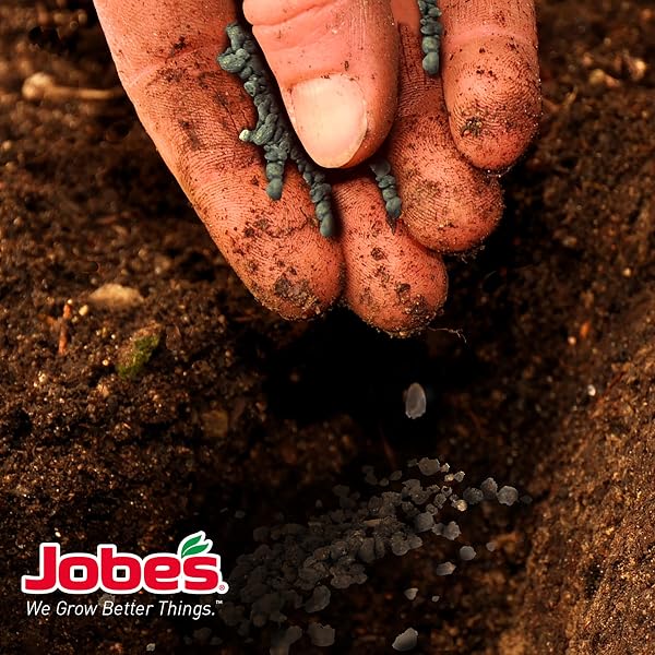 JOBE’S ORGANICS GRANULAR ALL PURPOSE FERTILIZER, EASY PLANT CARE FERTILIZER FOR VEGETABLES, FLOWERS, SHRUBS, TREES, AND PLANTS, 16 LBS BAG