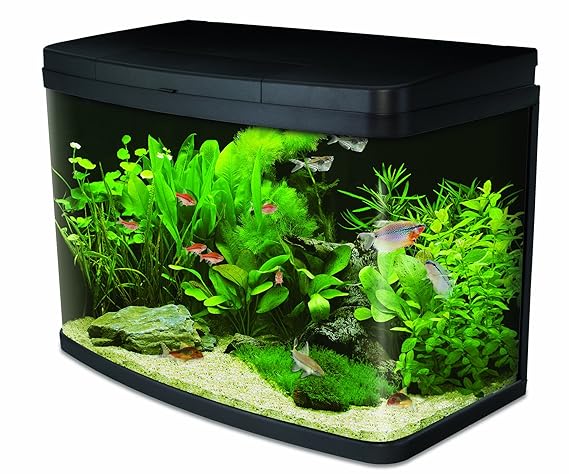 Interpet Insight Glas-Aquarium, komplettes Starter-Set Premium