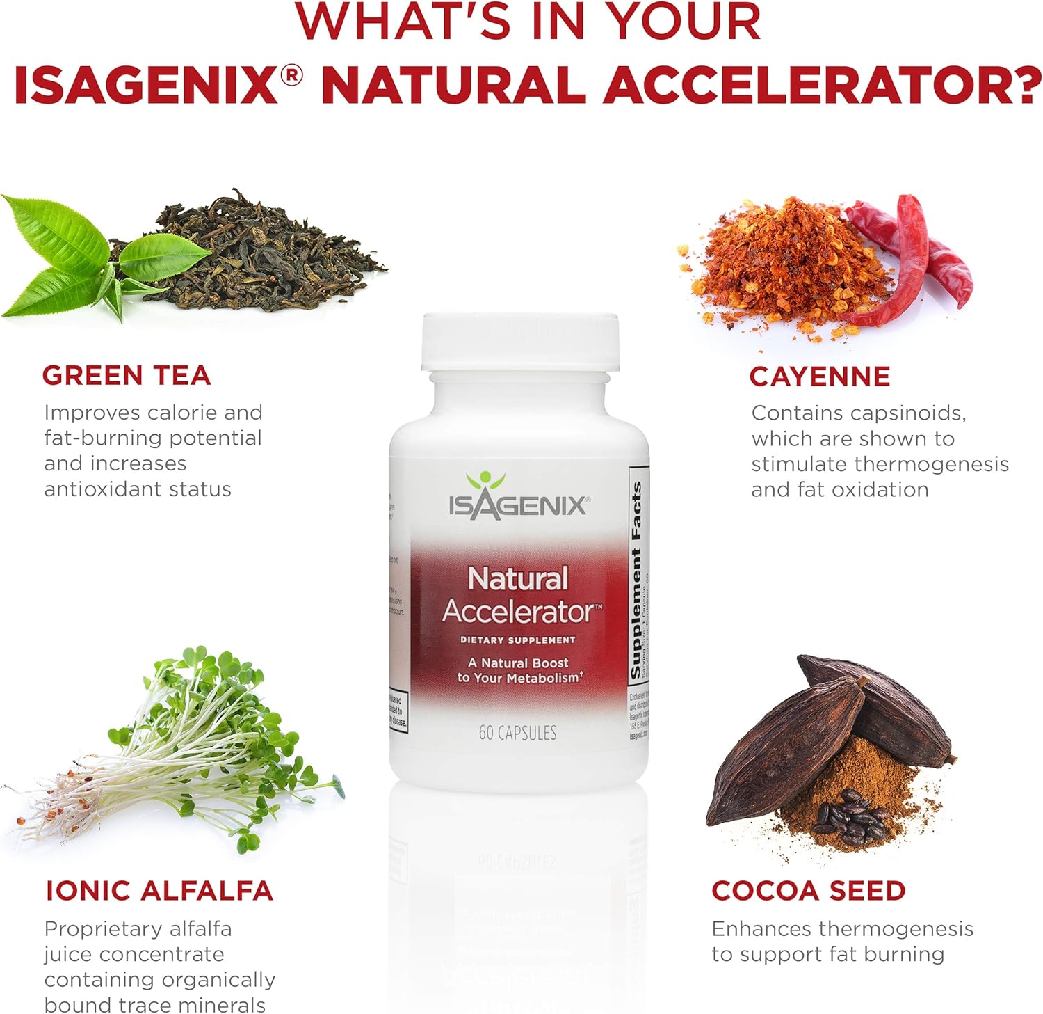 Isagenix Natural Accelerator - Metabolism Boost Capsules with Green Tea Extract, Black Pepper, Niacin and More - 60 Capsules: Health & Personal Care