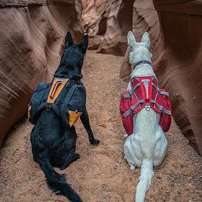 dog pack harness
