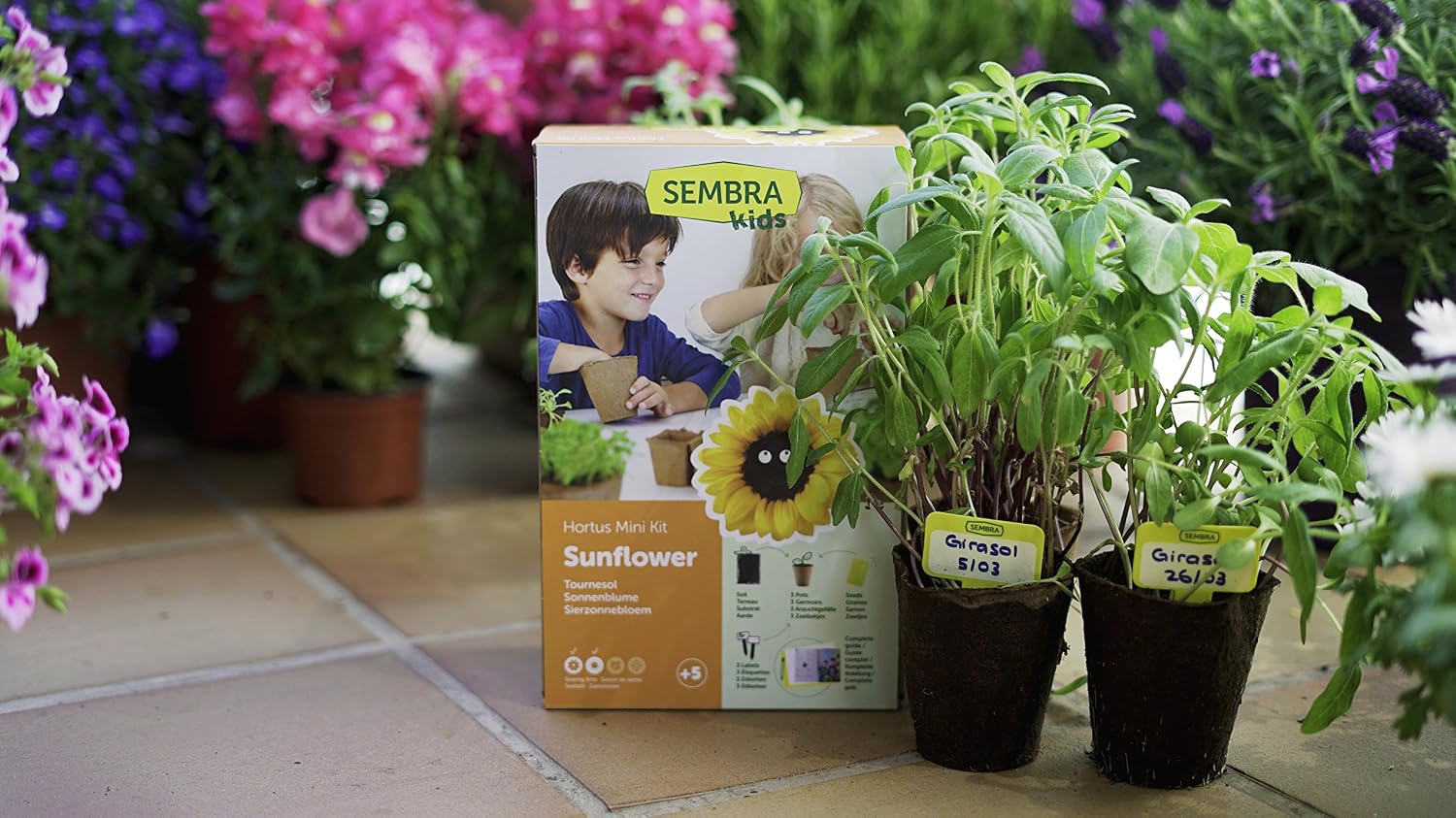 SEMBRA - juego educativo, Kit huerto Albahaca: Amazon.es: Jardín