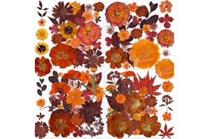 141PCS Brown Fall Dried Pressed Flowers for Resin - YouthBro Real Nature Flowers Butterfly Stikers Set for Christmas DIY Candle Soap Vase Making Nail Card Scrapbook Art Craft Floral Decors