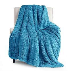 Bedsure Soft Bright Blue Twin Blanket for