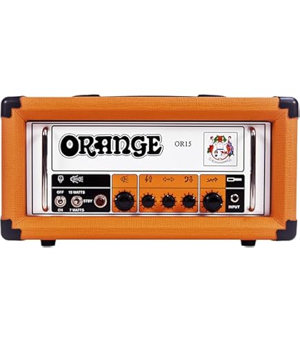 Amazon.com: Hughes & Kettner TubeMeister Deluxe 20-20/5/1-Watt