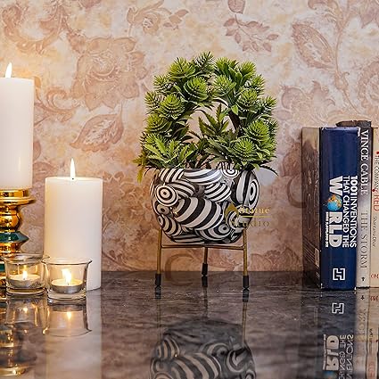 StatueStudio Metal Planter Stand Glossy Finish Garden Flora Planter Indoor Planter for Table Top, Living Room, Wall Slab and Home Decor (5.5 X 5.5 X 6.5 Inch)