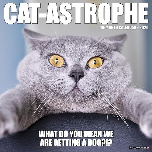 Download Cat-Astrophe 2020 Calendar PDF