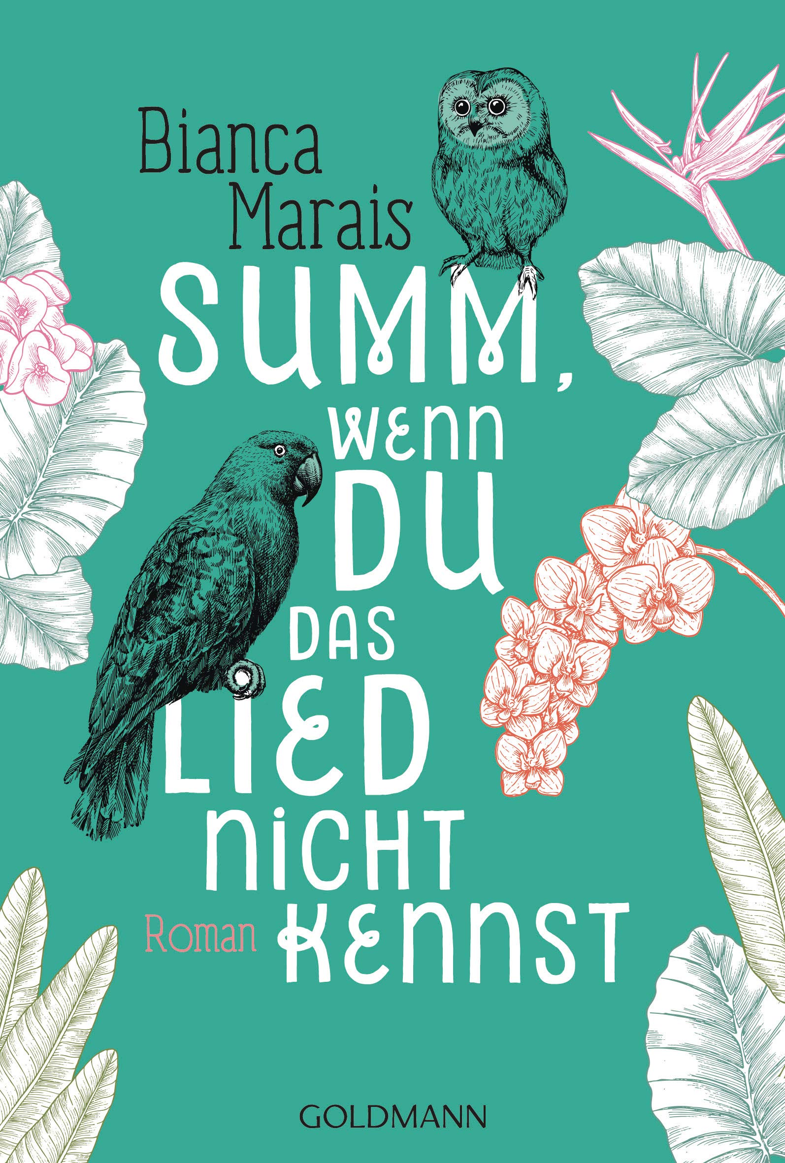 Amazon Fr Summ Wenn Du Das Lied Nicht Kennst Roman Marais Bianca Reissig Heike Schafer Stefanie Livres