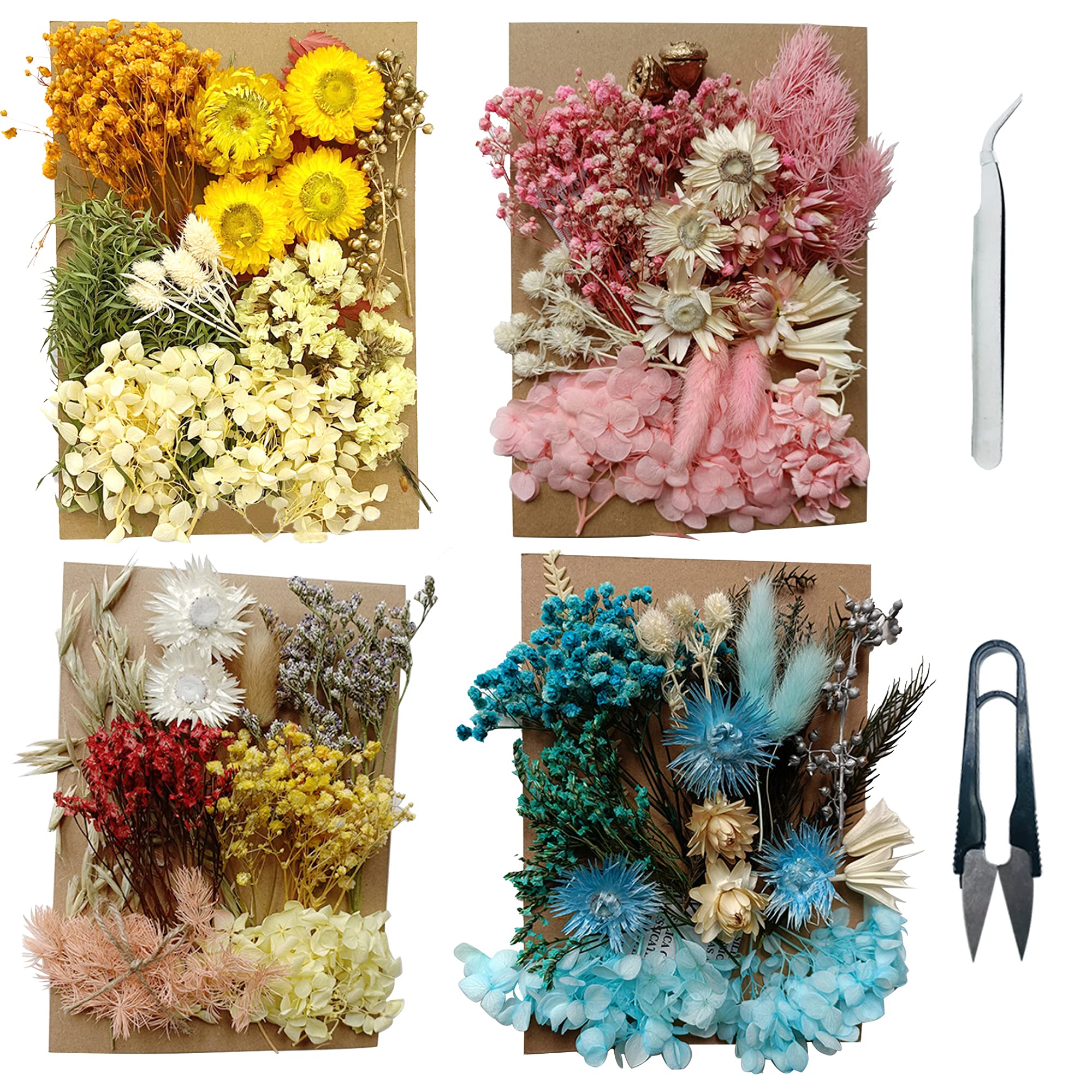 Cayway Natural Dried Pressed Flowers Leaves, Real Dried Pressed Flowers, Multiple Pressed Dry Flowers with Tweezers, Scissors for DIY Candle Resin Jewelry Nail Pendant Crafts Art Floral Decoration
