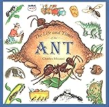 The Life and Times of the Ant