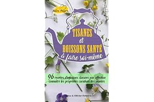 Tisanes et boissons santé à faire soi-même: 96 recettes d'infusions classées par affection, connaître les propriétés curative