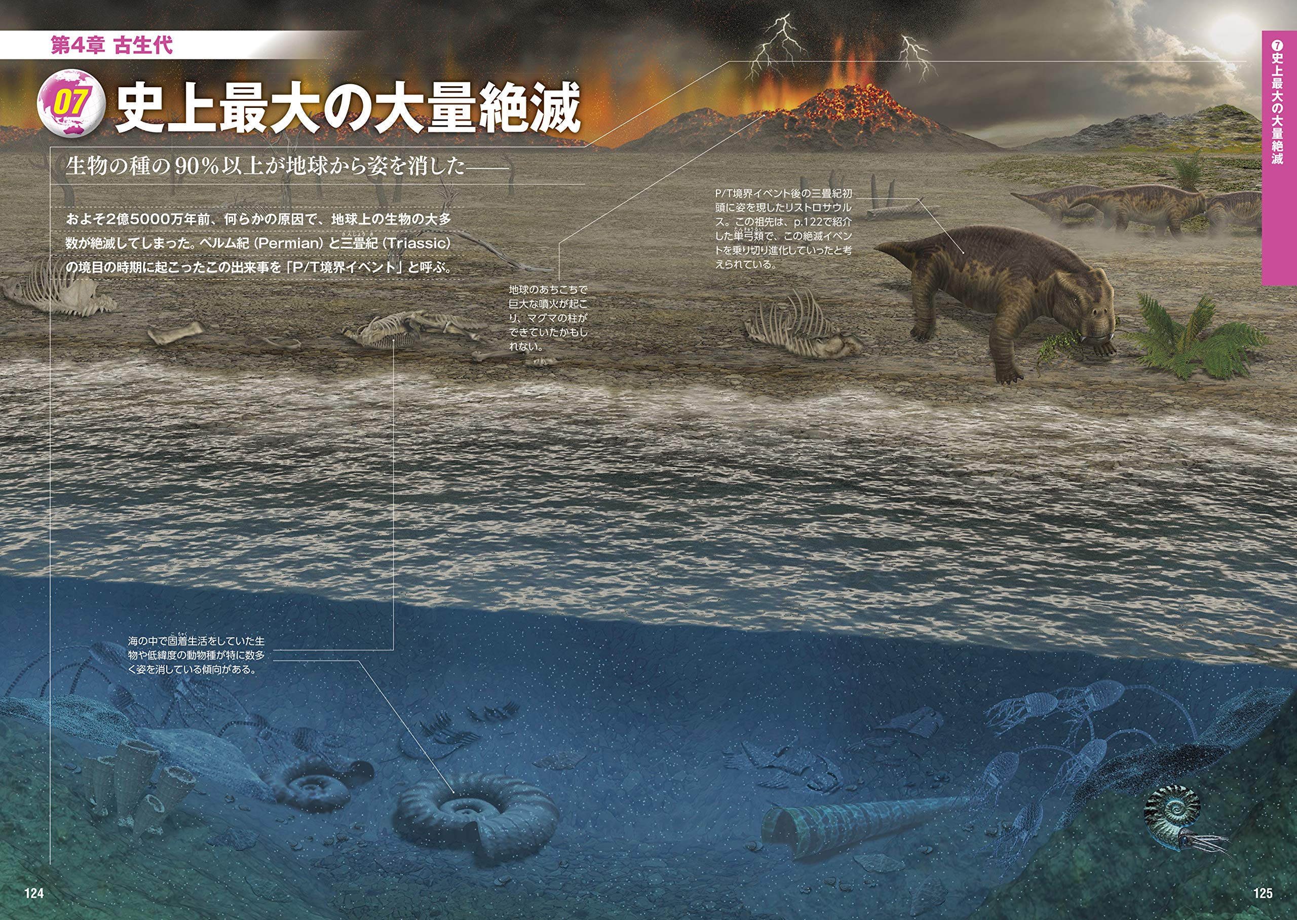 Chikyu Seimei No Daishinka Otona No Tame No Zukan Yonjurokuokunen No Monogatari Bijuaruban Eiichi Tajika Amazon Com Books