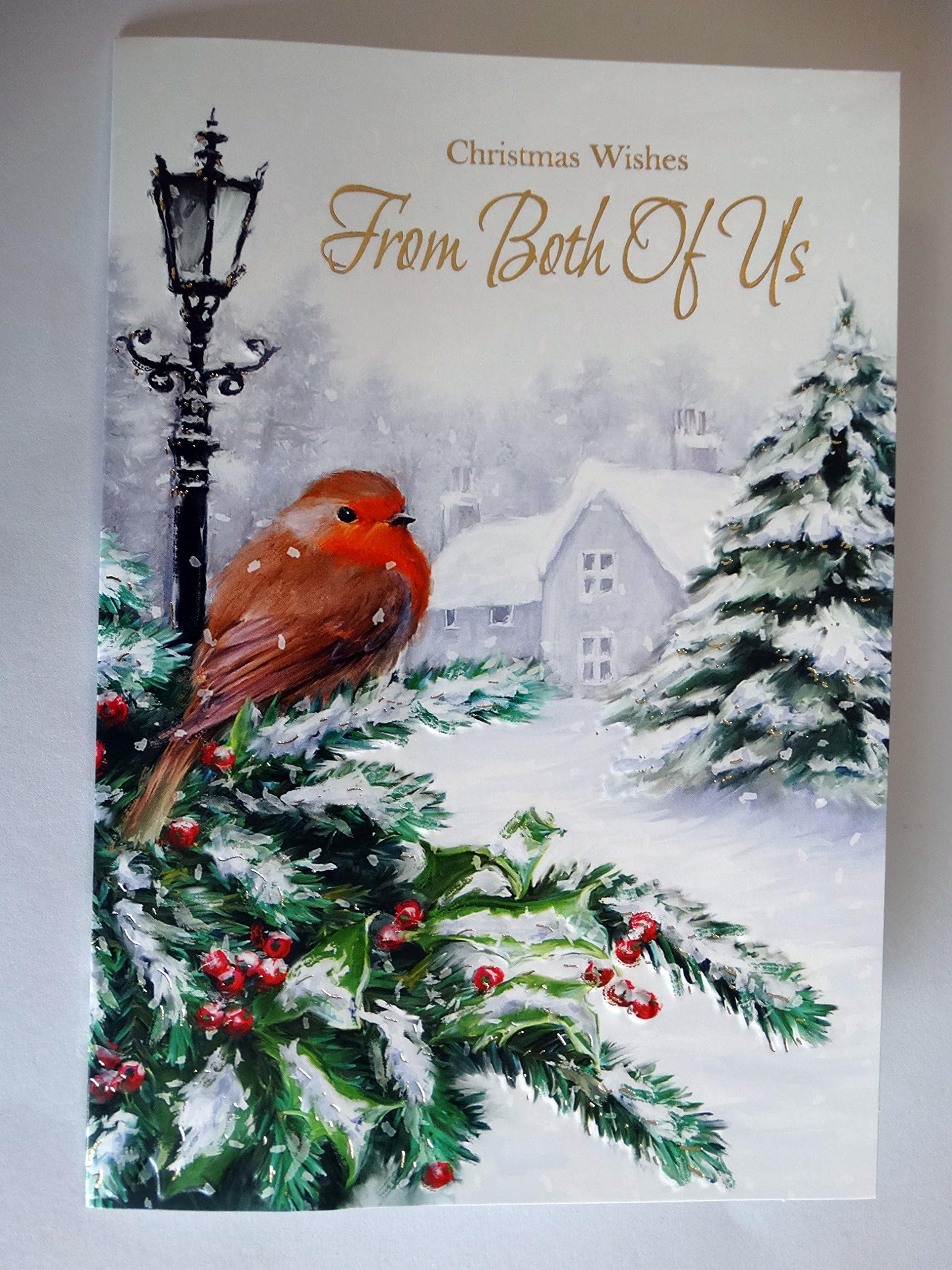 Brother Robin Tree Berry Snow Cottage & Lamp Design Christmas Card