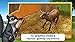 PetWorld 3D: My Animal Rescue Premium