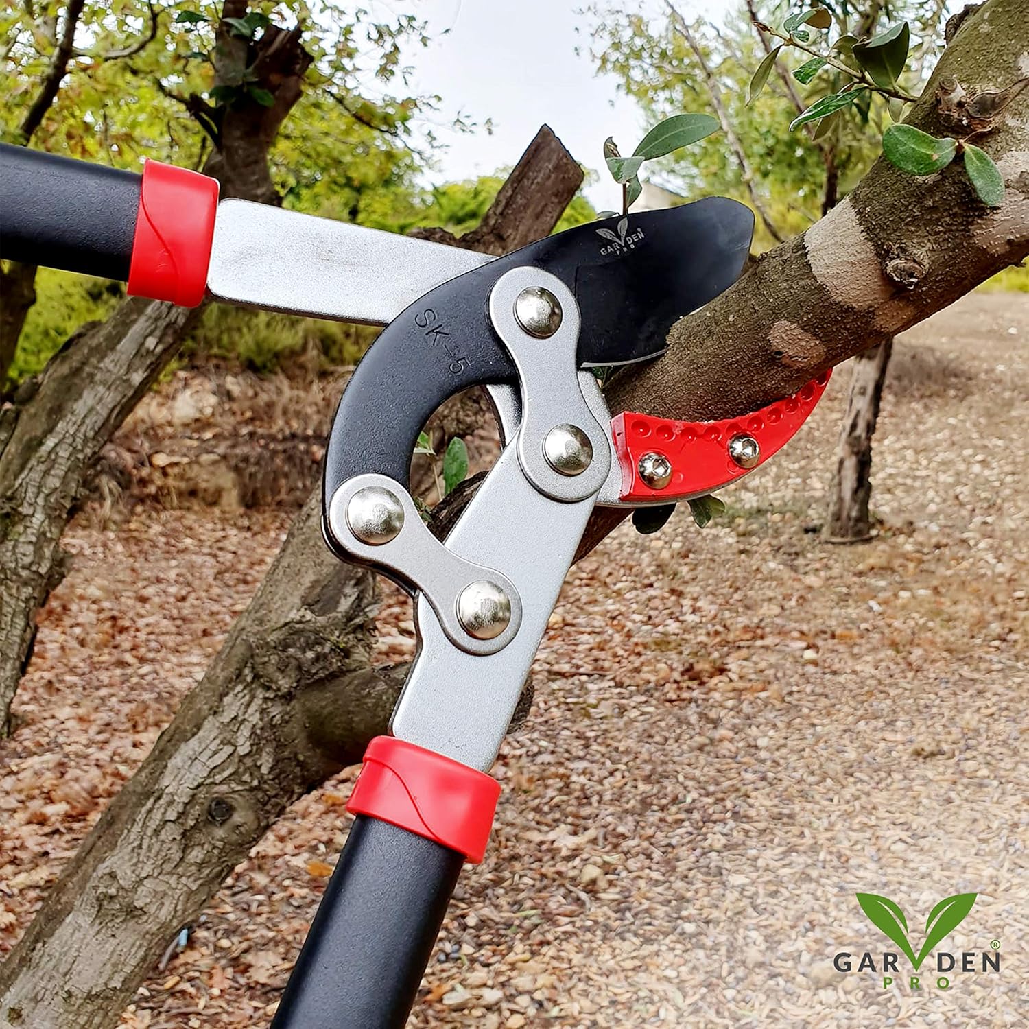 GARDEN V PRO Professional SK5 Loppers, Anvil Hedge Clippers, Compound Action, Tree Trimmer Pruner Cutters - Ergonomic Gardening Ovular Hand Tool, Effortless Branch, Wood Cutting, Up to 2-inch Capacity : Garden & Outdoor