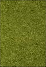 THE RUGS Living Room Rug Shaggy 30mm 120x170 cm Green view 6