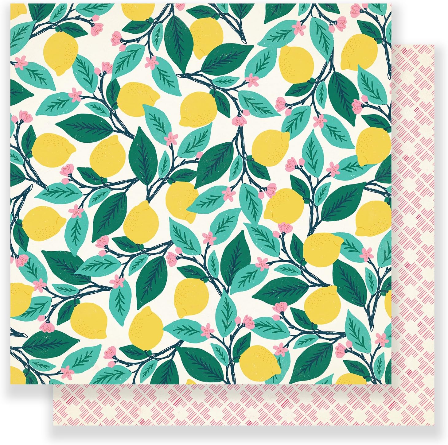 Maggie Holmes 12 x 12 Paper Ponderosa (25 Pack), 12-x-12-Inch