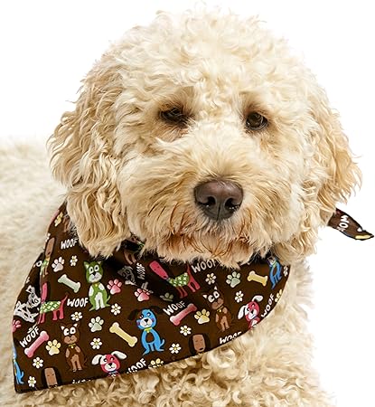 Amazon Com Pet Pooch Boutique Woof Woof Bandana For Dog Small