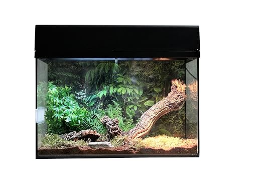 Lucky Reptile SK50TS-W Starter Kit 'Spinne plus Skorpion', 50 cm