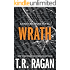 Furious Faith Mcmann Trilogy Book 1 Kindle Edition By