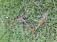 Review Image by Jacob T. Collins Jacob T. Collins