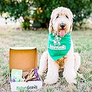 Gnaw Box – Nature Gnaws Dog Chew Treats - Subscription Box: Large Dog GnawBox