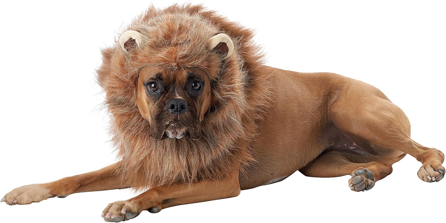 Amazon Com California Costumes Pet King Of The Jungle Dog Costume Pet Supplies