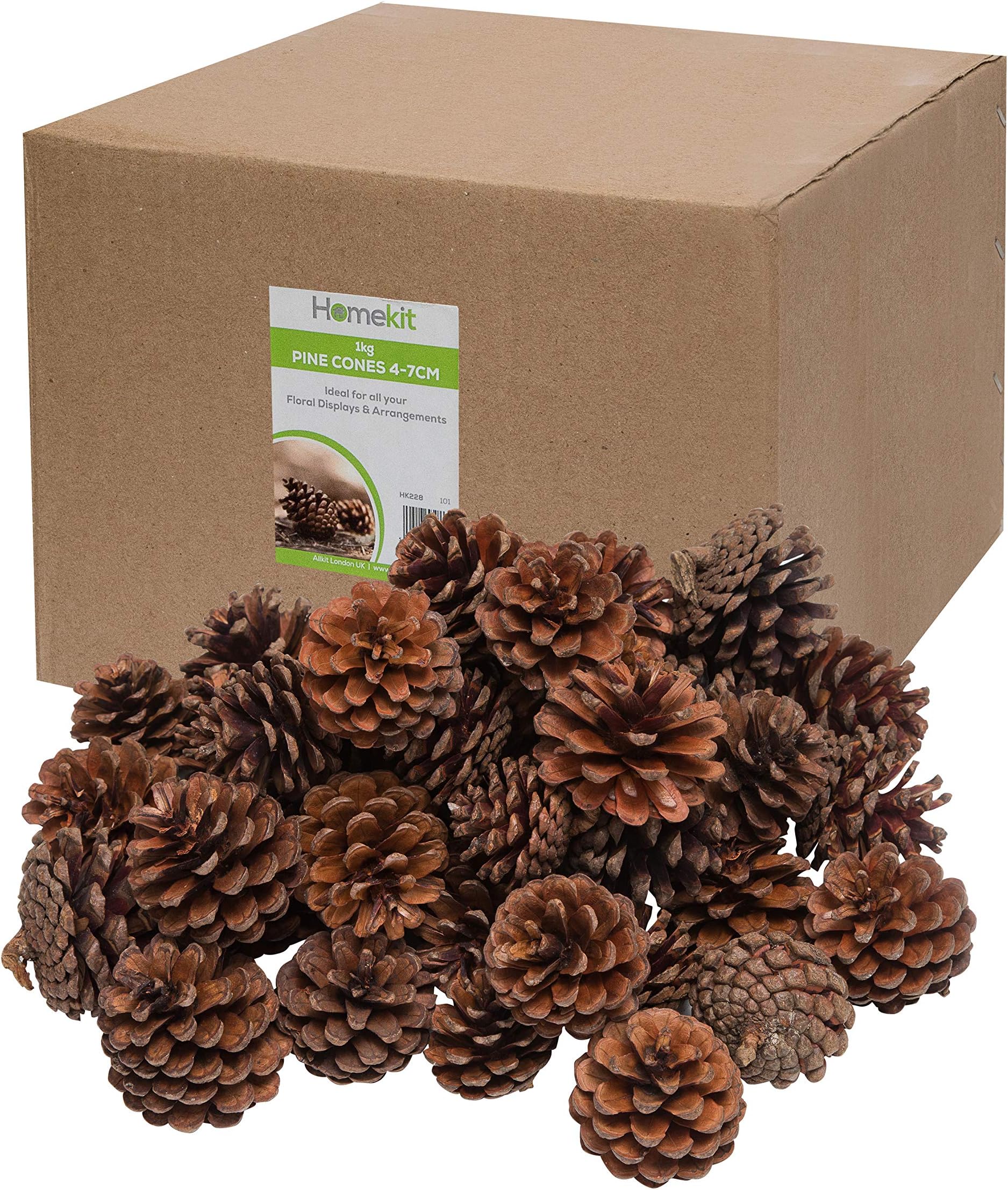 1Kg Pine Cones Bulk Pack – Perfect for Florists – Christmas Decorations – Wreaths – Naturally Dried – Ready to Get Creative