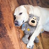KONG Wild Knots Bears Medium Large Dog Toy view 2