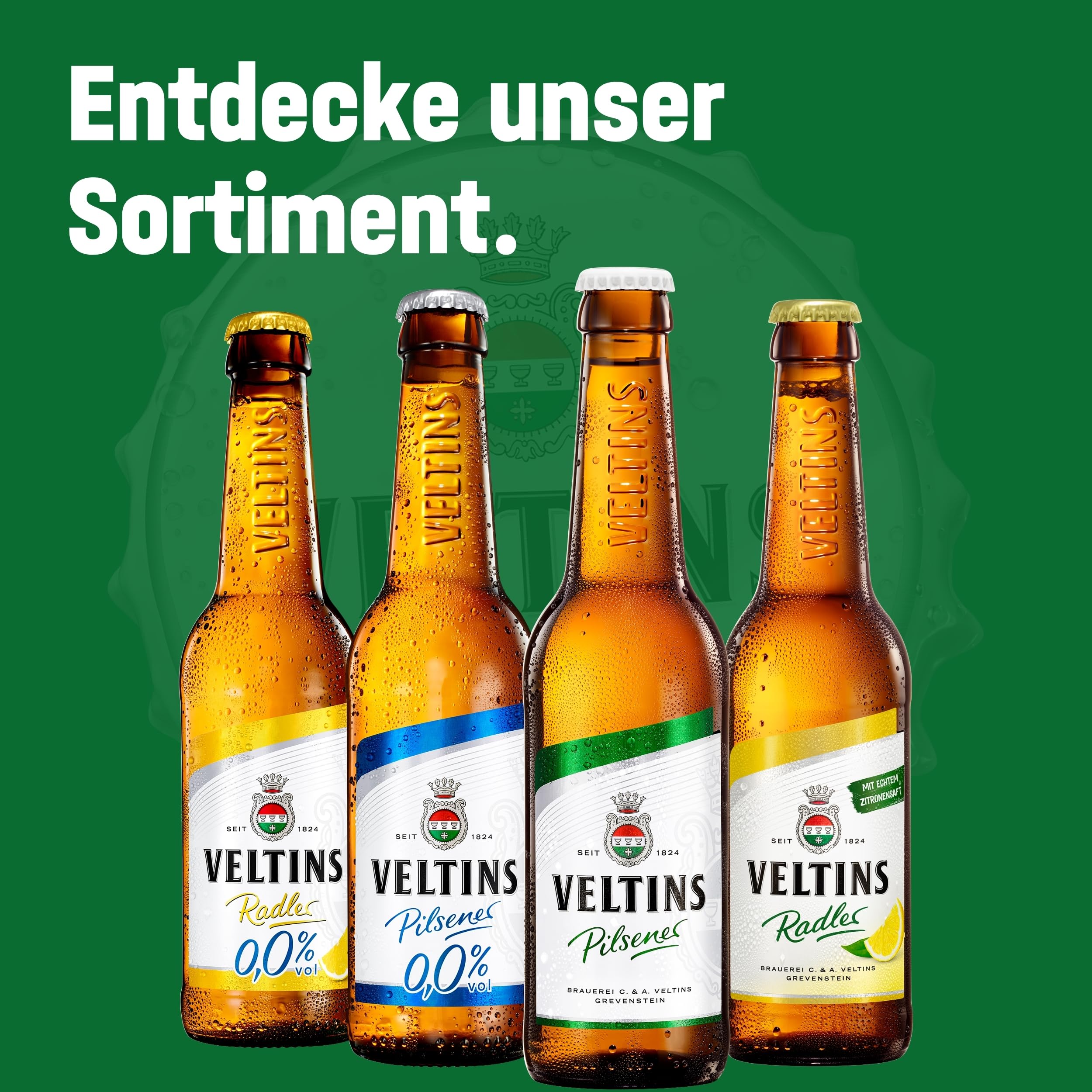 VELTINS Pilsener – 24 x 0,5 l Dosenbier (EINWEG) – Fein-herbes Premium Pils – Brautradition seit 1824 – Frisch & ausgewogen – 4,8 % vol. Alkohol 9