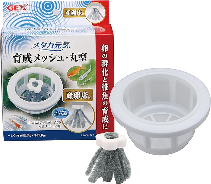 Amazon ジェックス メダカ元気 育成メッシュ 丸型 卵の孵化 稚魚の保護 育成用 食卵防止 産卵床付 メダカ飼育用 ジェックス 繁殖用タンク 通販