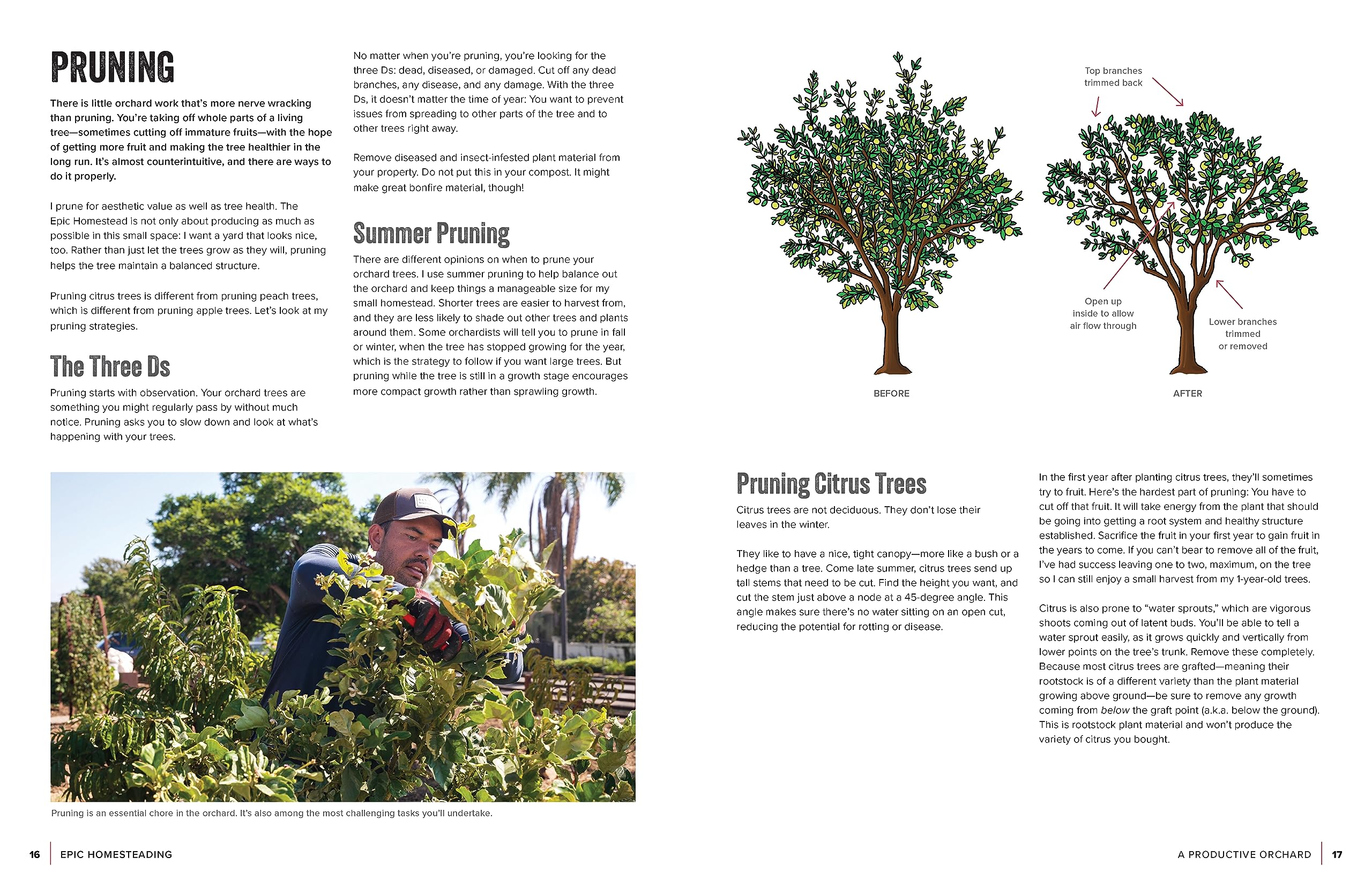 Epic Homesteading: Your Guide to Self-Sufficiency on a Modern, High-Tech, Backyard Homestead